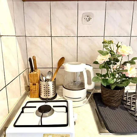 Alloggio in famiglia Kaleici Muhtesem Konum Deniz Yakini 1+0 Oezel Ev Antalia
